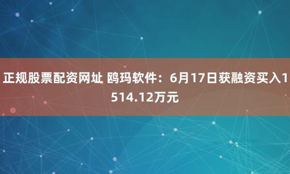 正规股票配资网址 鸥玛软件：6月17日获融资买入1514.12万元